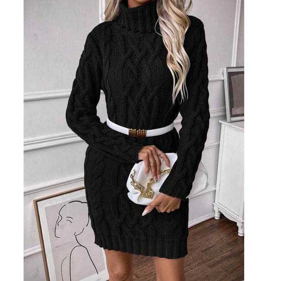 Cozy Solid Turtleneck Chunky Knit Sweater Dress - Picture 7 of 8